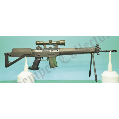 SIG 550 ZF 6x36