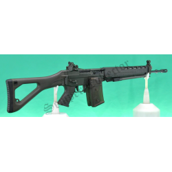 Fucile d'assalto...